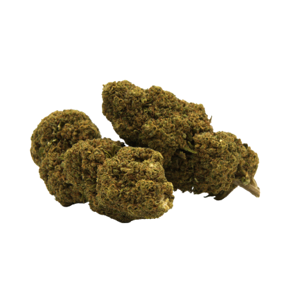 fleurs cbd amnesia lemon