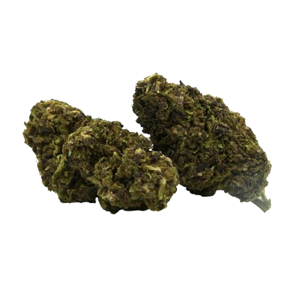 fleurs cbd granddaddy purple