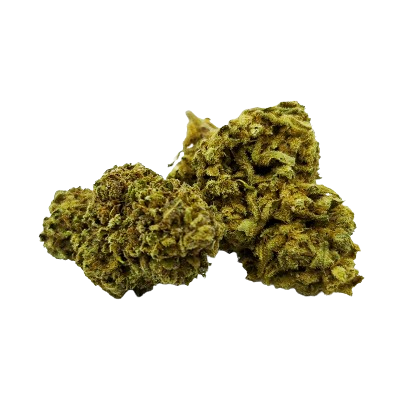 fleurs cbd sour diesel toulousaine small bud