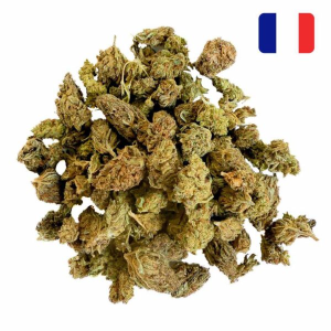 gelato thcx 2.0 small bud glass house 300x300