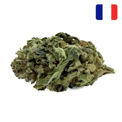 cheese thcx 2.0 bud mix green house 420x420.jpg