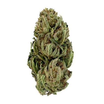 tangie candy cbd bud mix green house 420 420